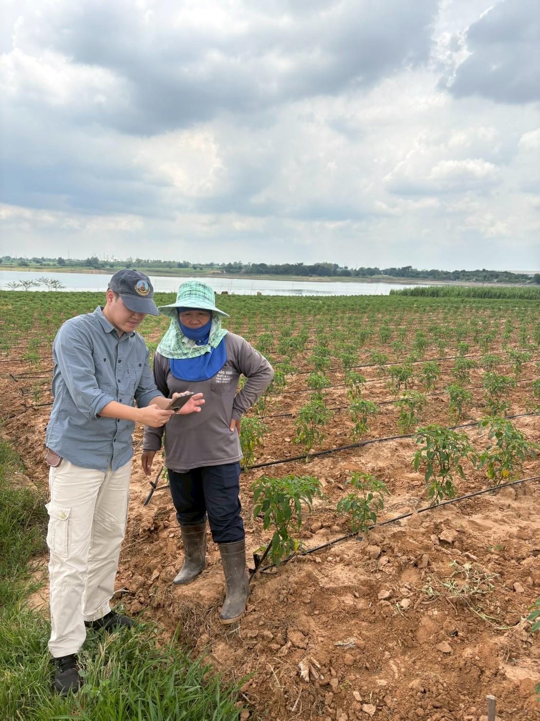 ภาพประกอบที่ 5