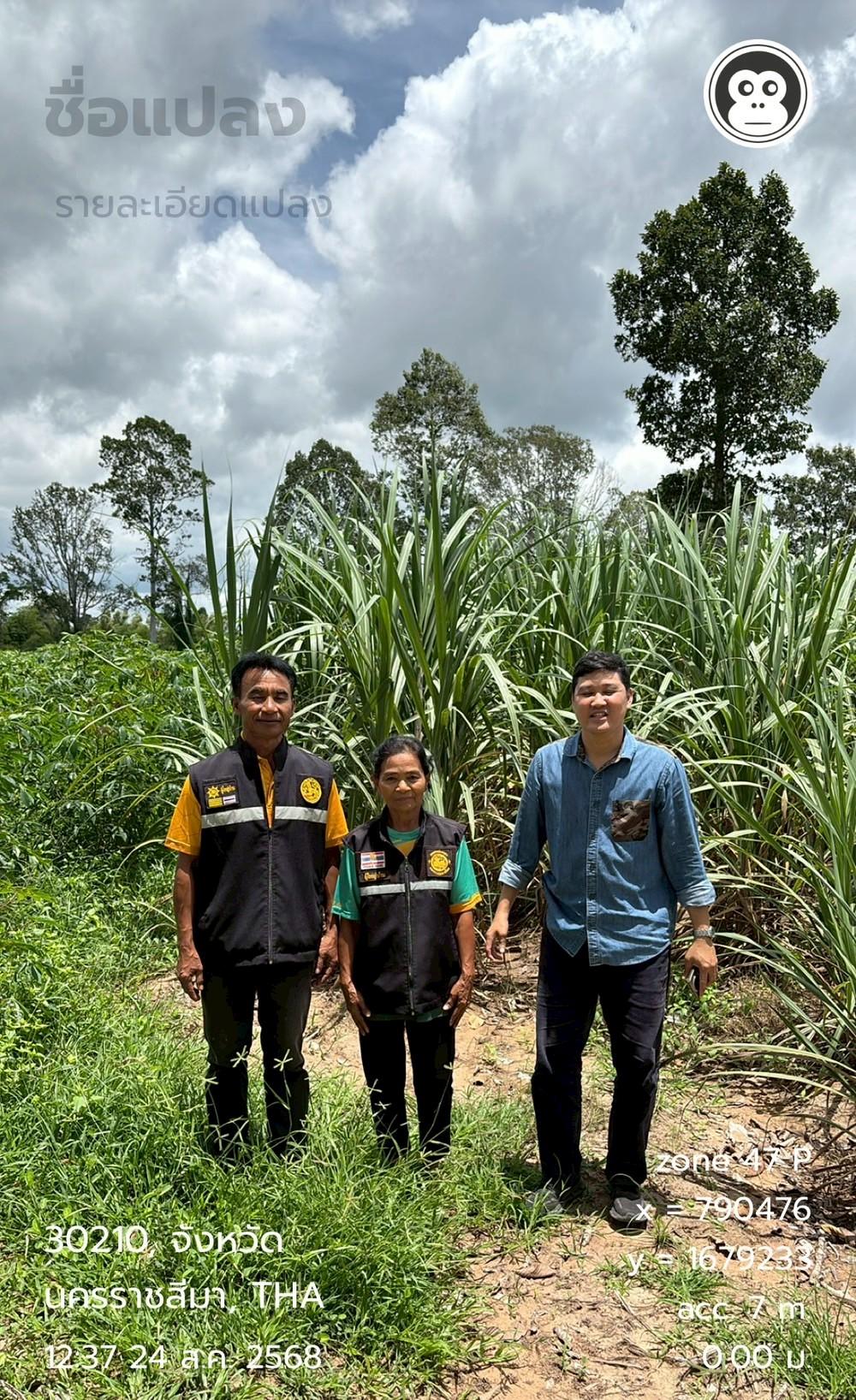 ภาพประกอบที่ 3