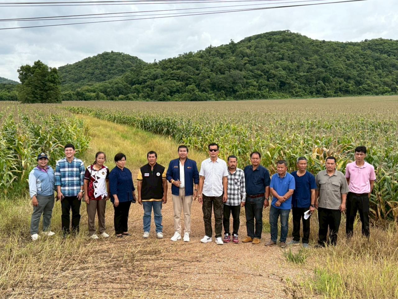 ภาพประกอบที่ 4