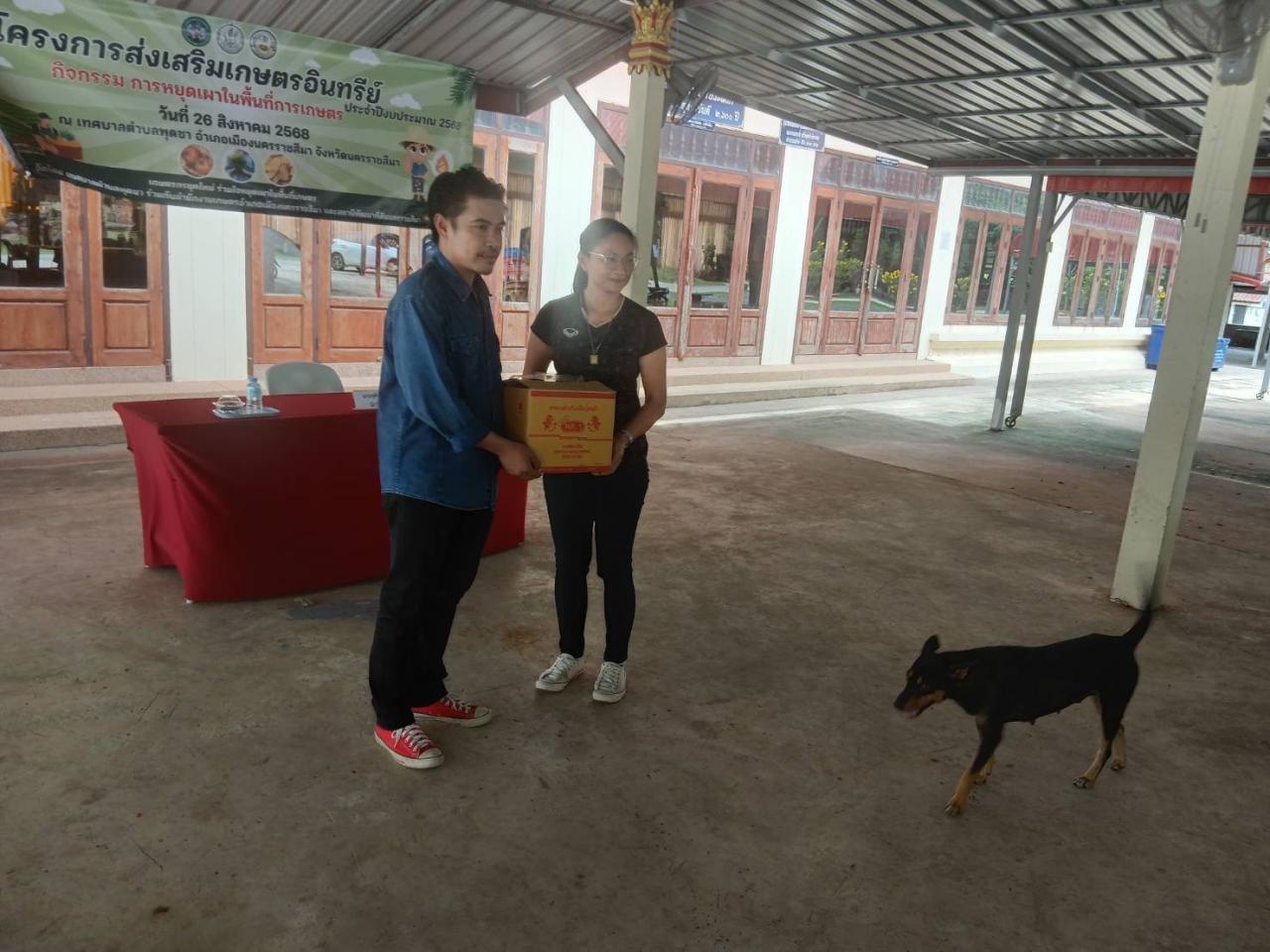 ภาพประกอบที่ 1