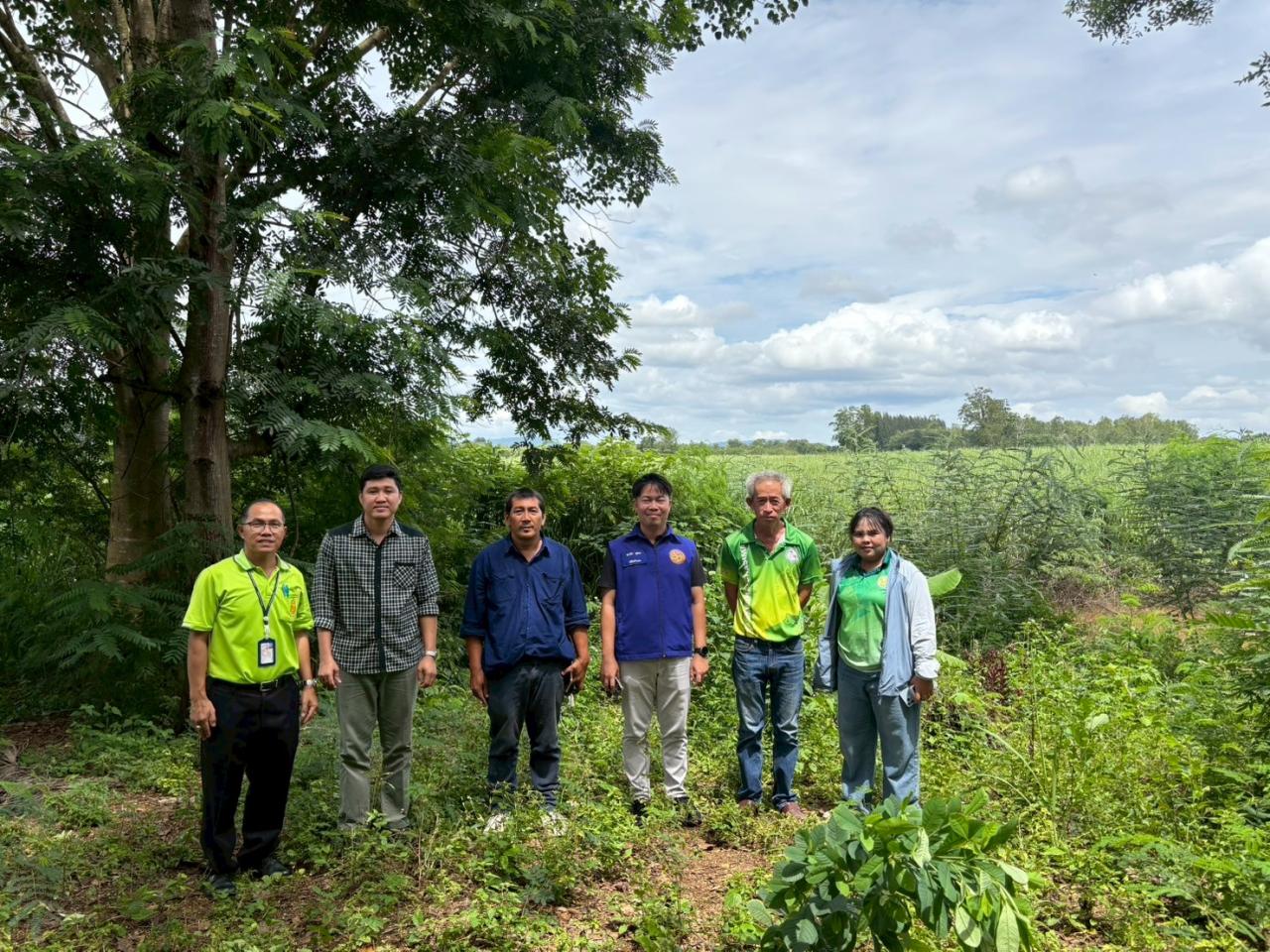 ภาพประกอบที่ 1
