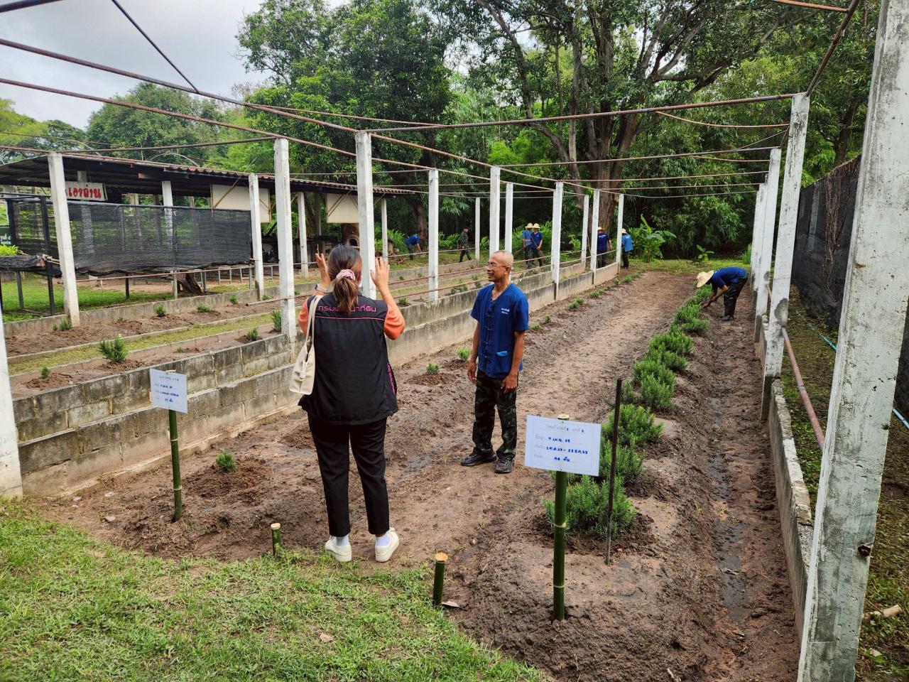 ภาพประกอบที่ 1