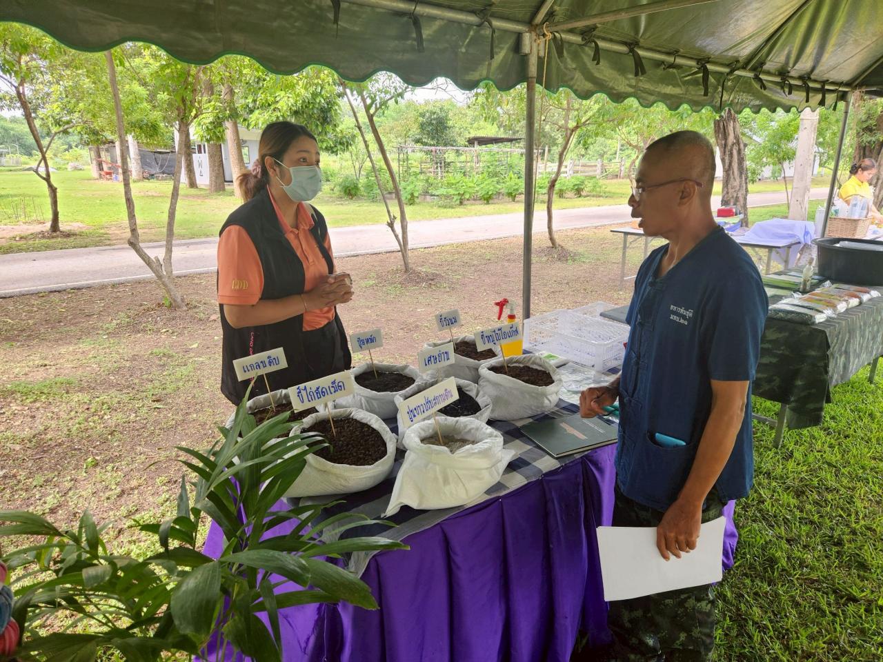 ภาพประกอบที่ 3