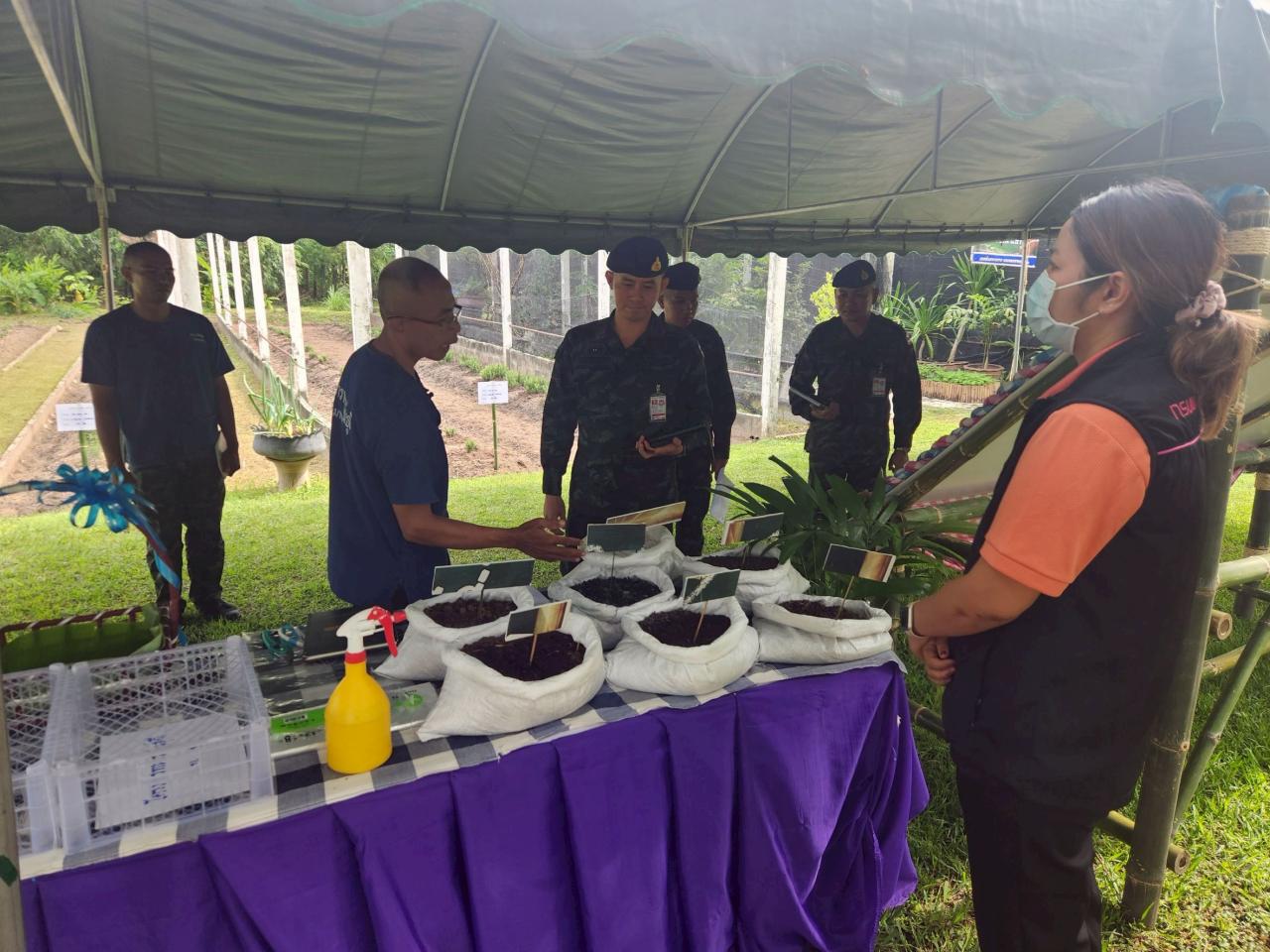 ภาพประกอบที่ 4