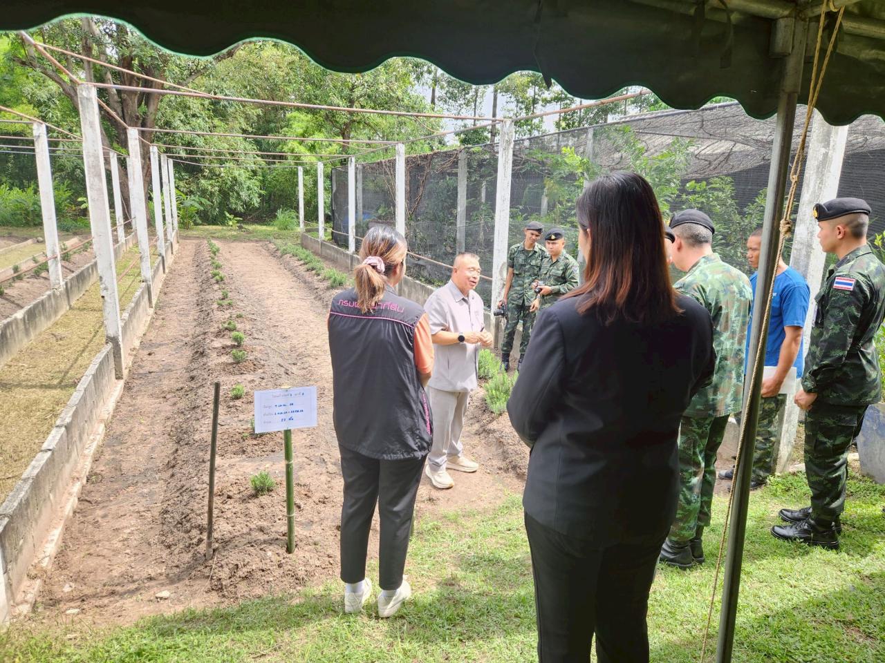 ภาพประกอบที่ 6