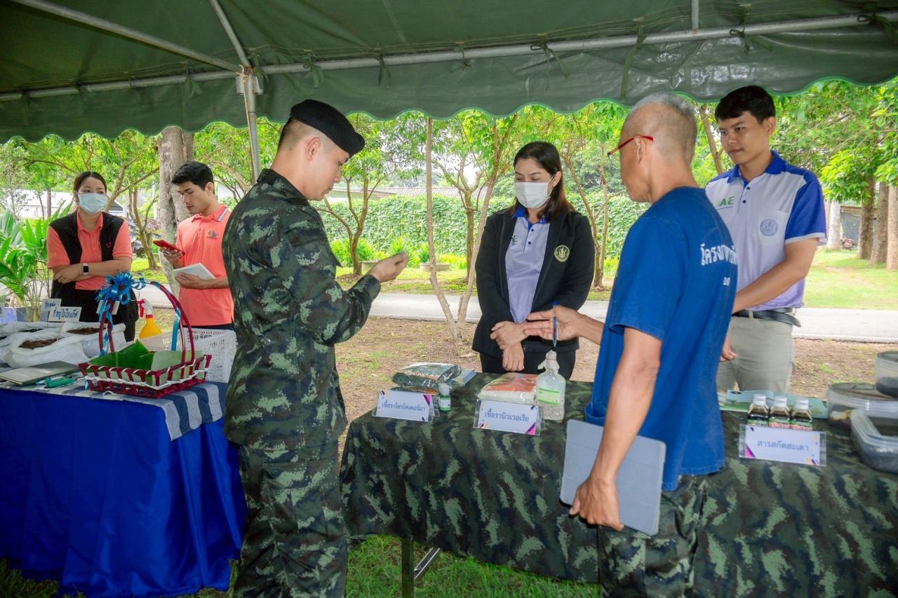 ภาพประกอบที่ 11