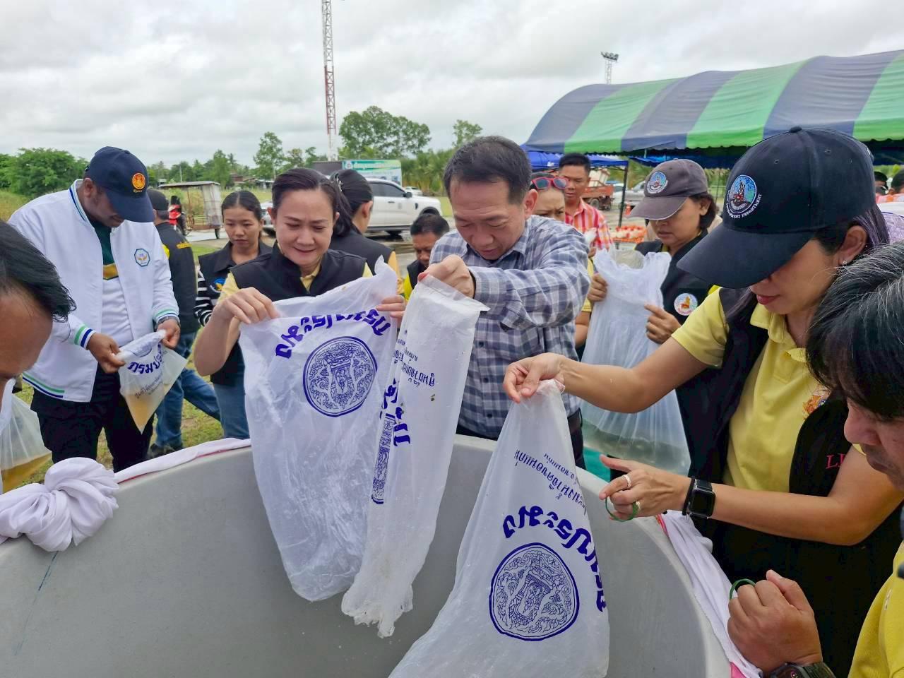 ภาพประกอบที่ 1