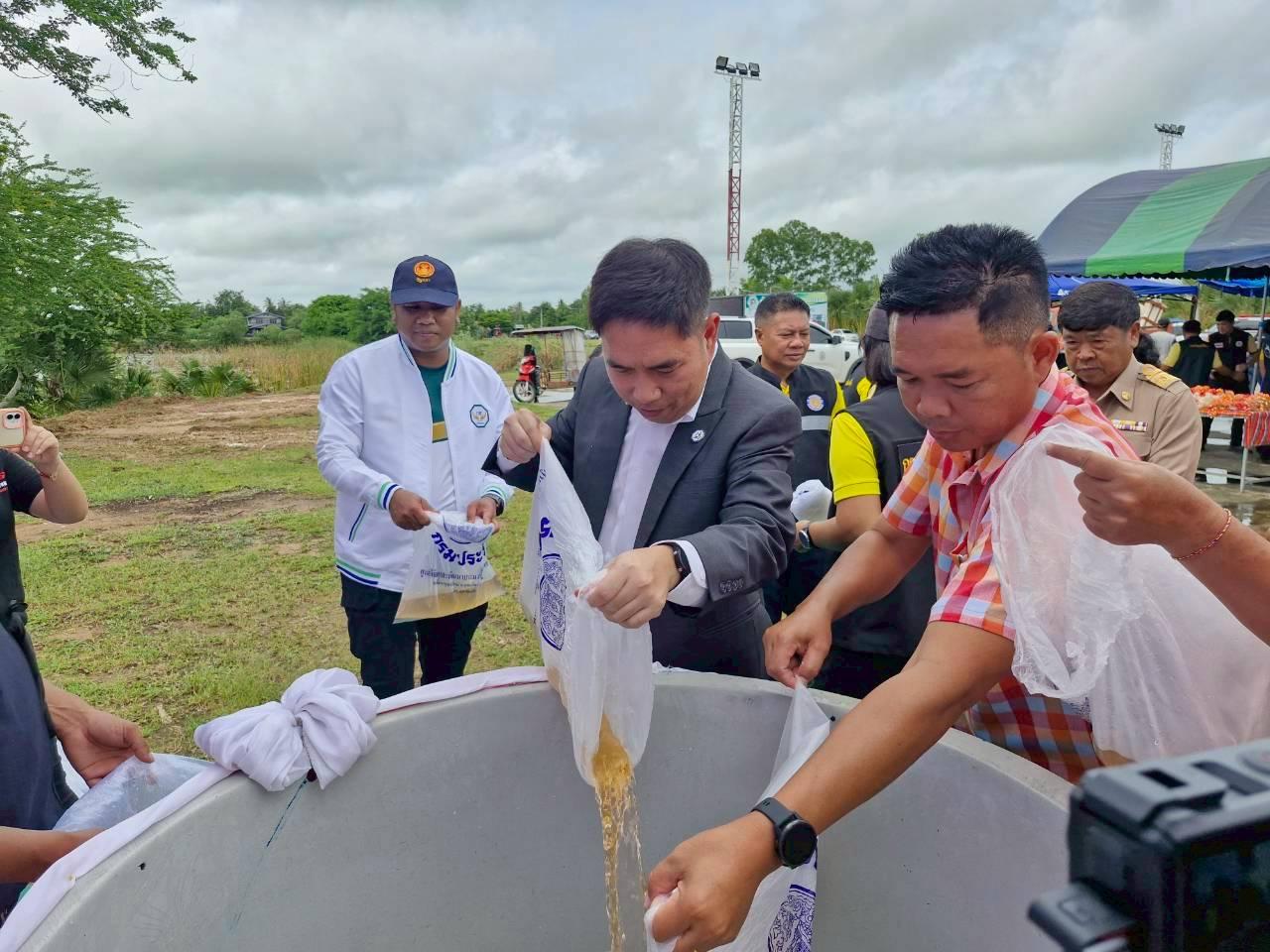 ภาพประกอบที่ 2