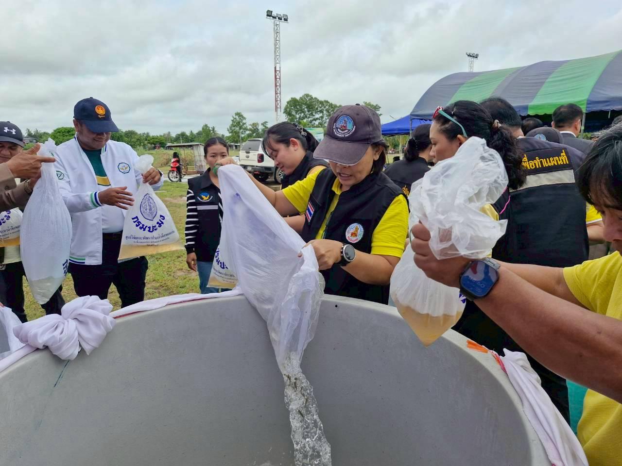 ภาพประกอบที่ 25