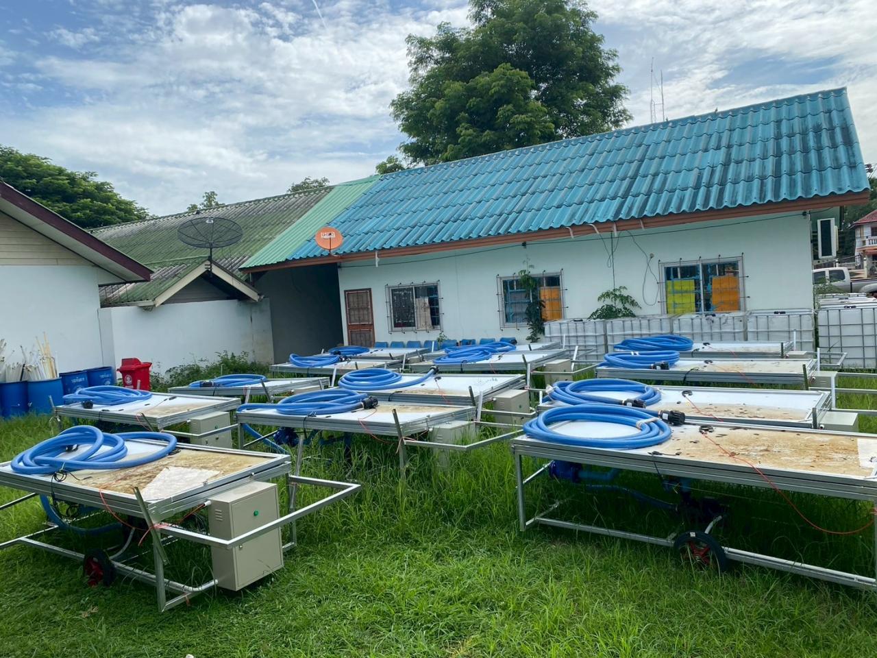 ภาพประกอบที่ 5