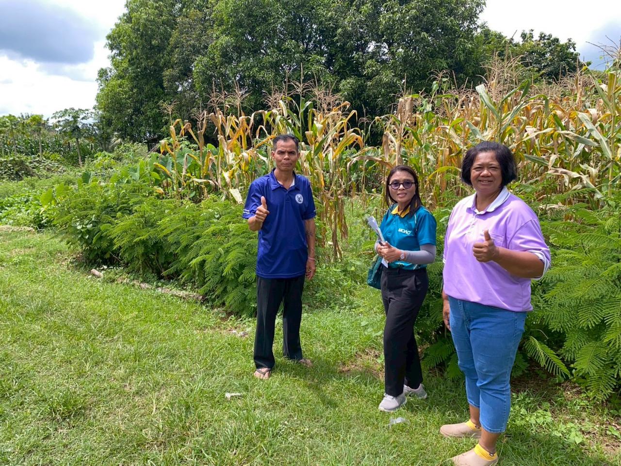 ภาพประกอบที่ 1