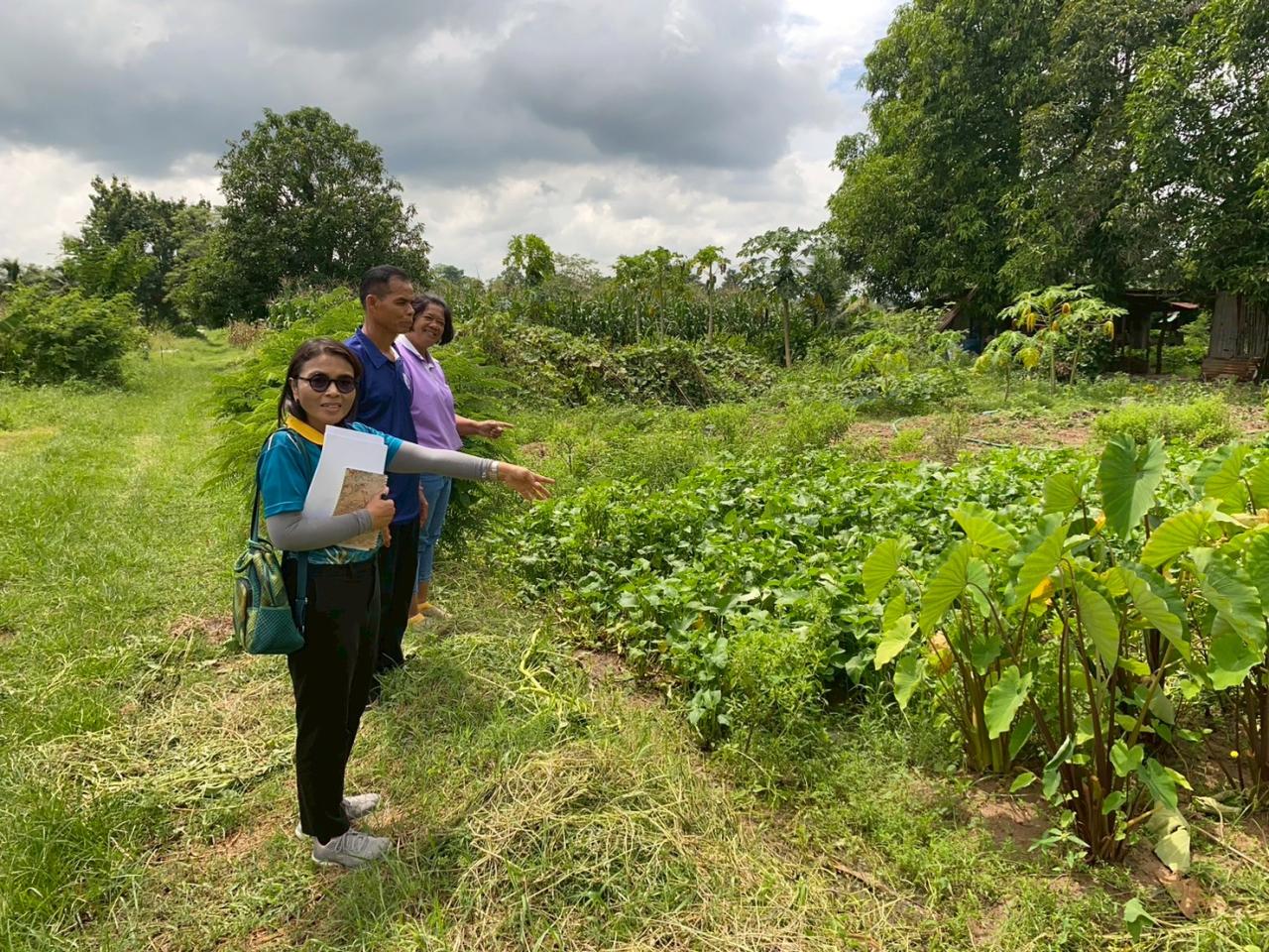 ภาพประกอบที่ 5