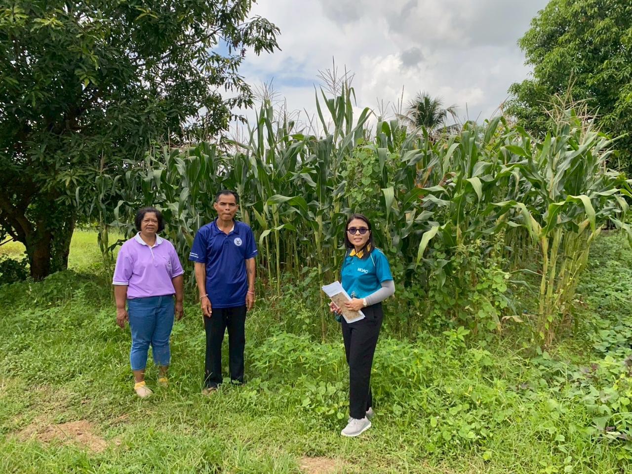 ภาพประกอบที่ 6