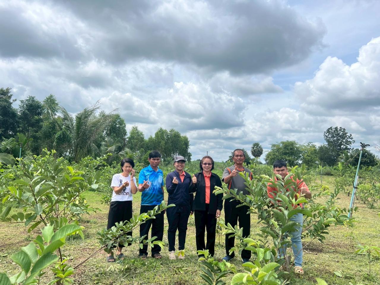 ภาพประกอบที่ 2