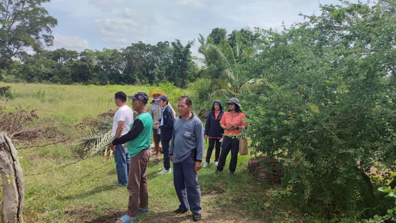 ภาพประกอบที่ 5