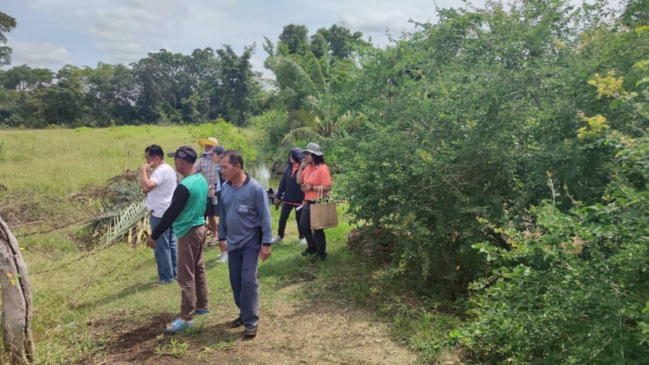 ภาพประกอบที่ 6