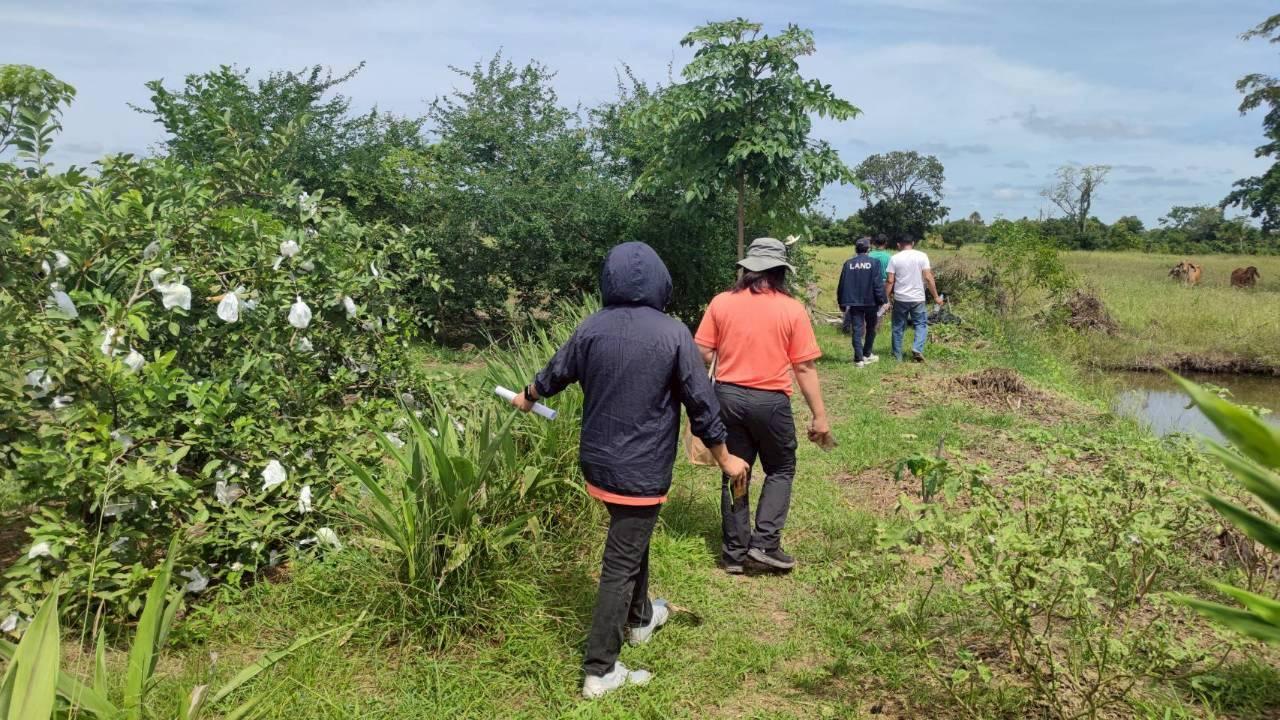 ภาพประกอบที่ 7