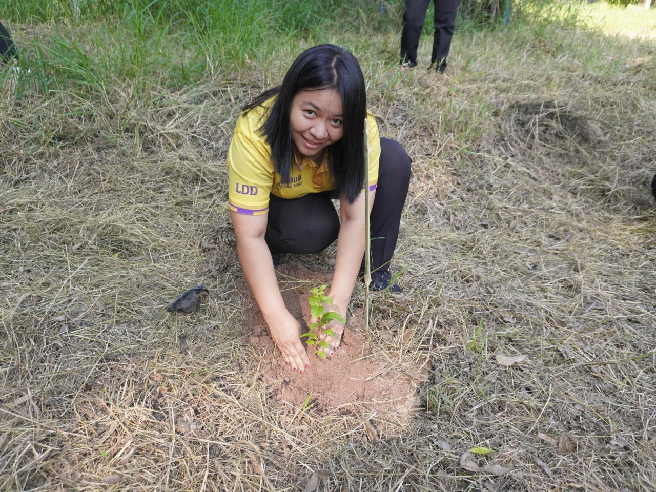 ภาพประกอบที่ 45