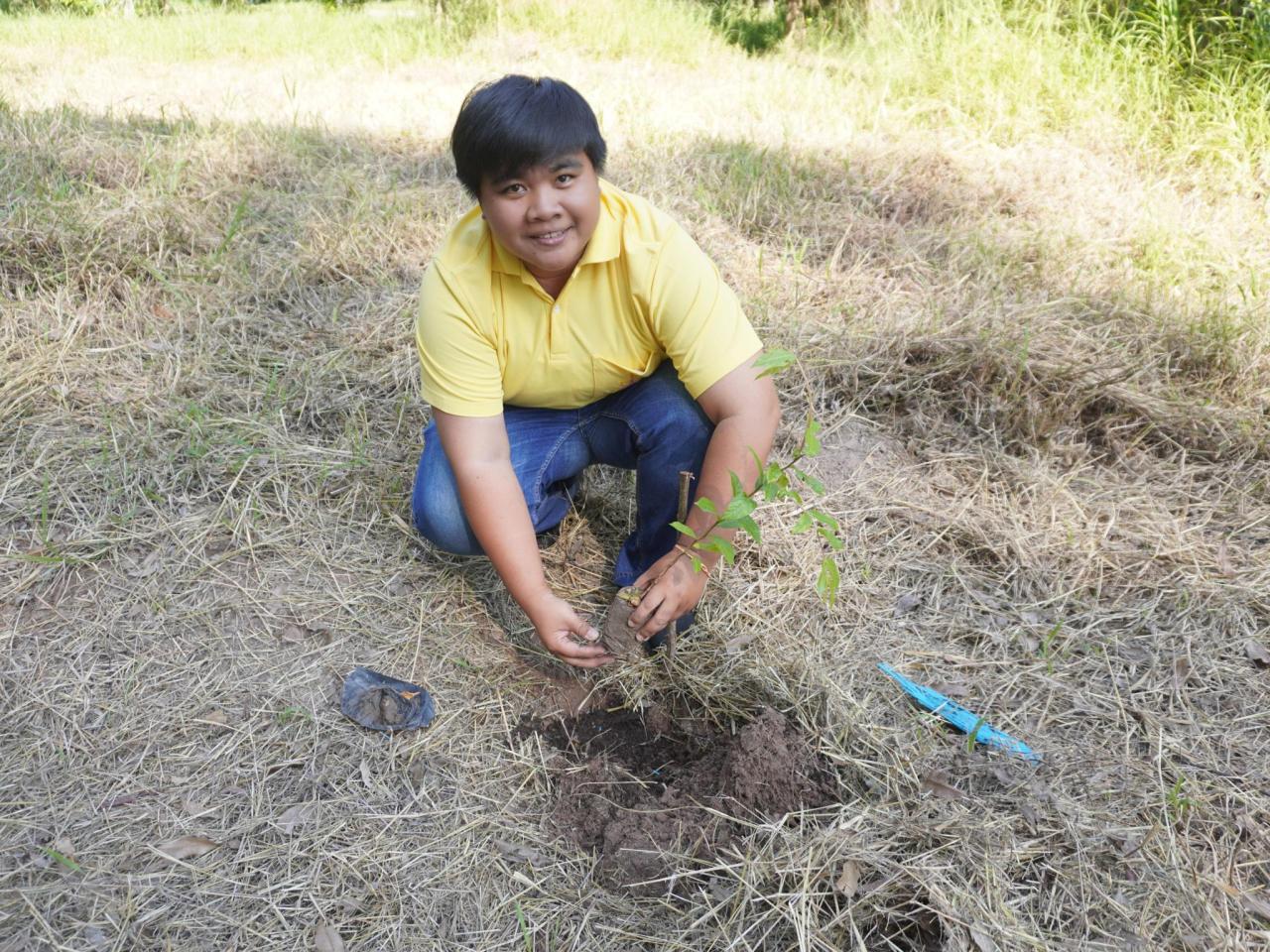 ภาพประกอบที่ 53