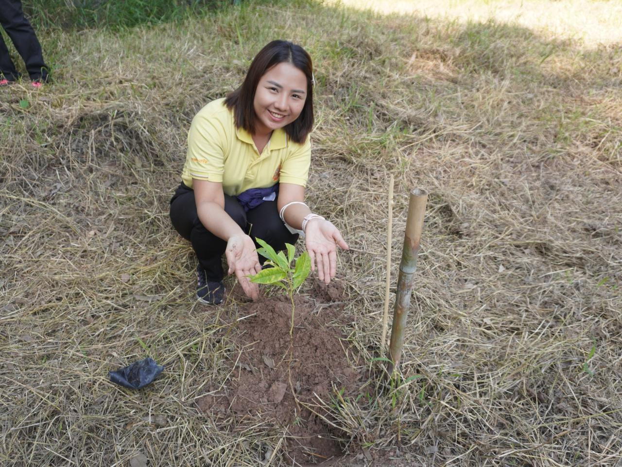 ภาพประกอบที่ 54
