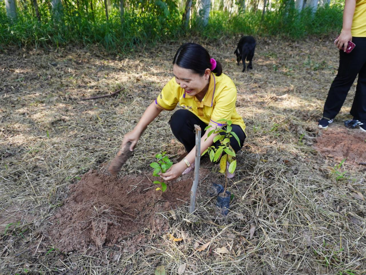 ภาพประกอบที่ 36