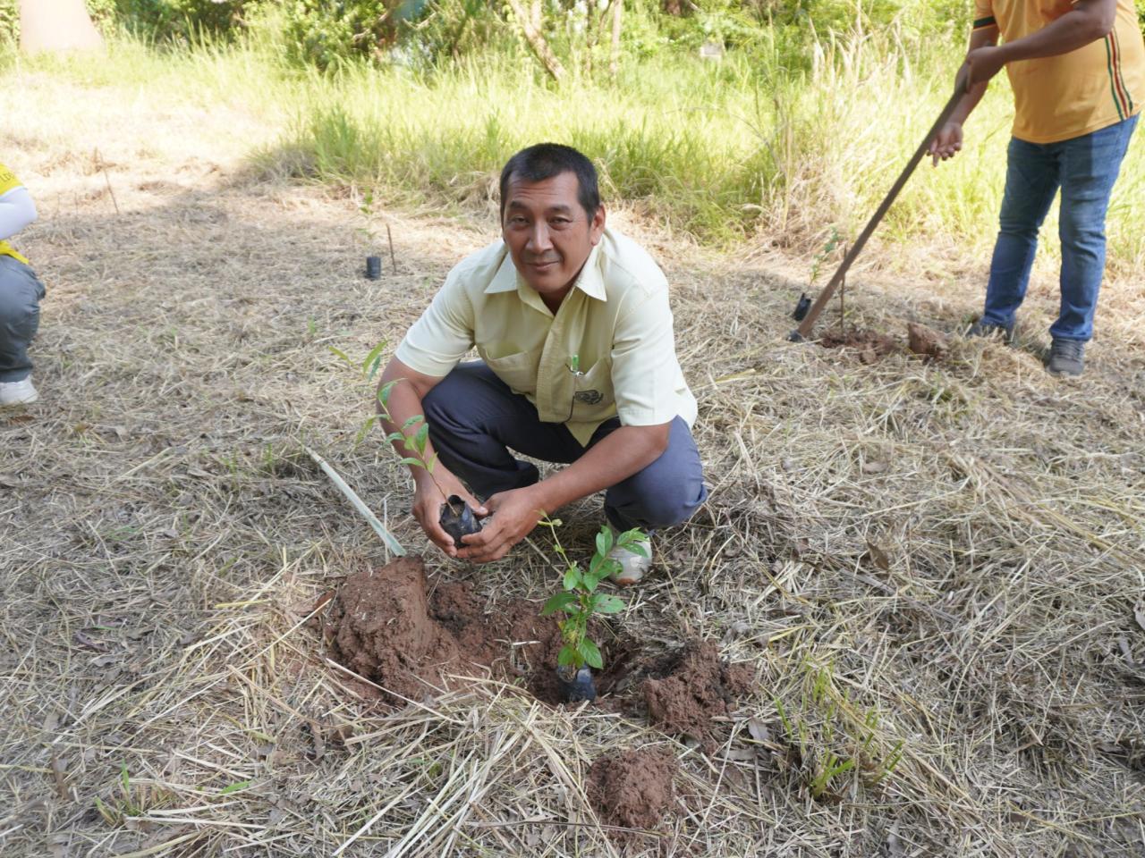 ภาพประกอบที่ 37