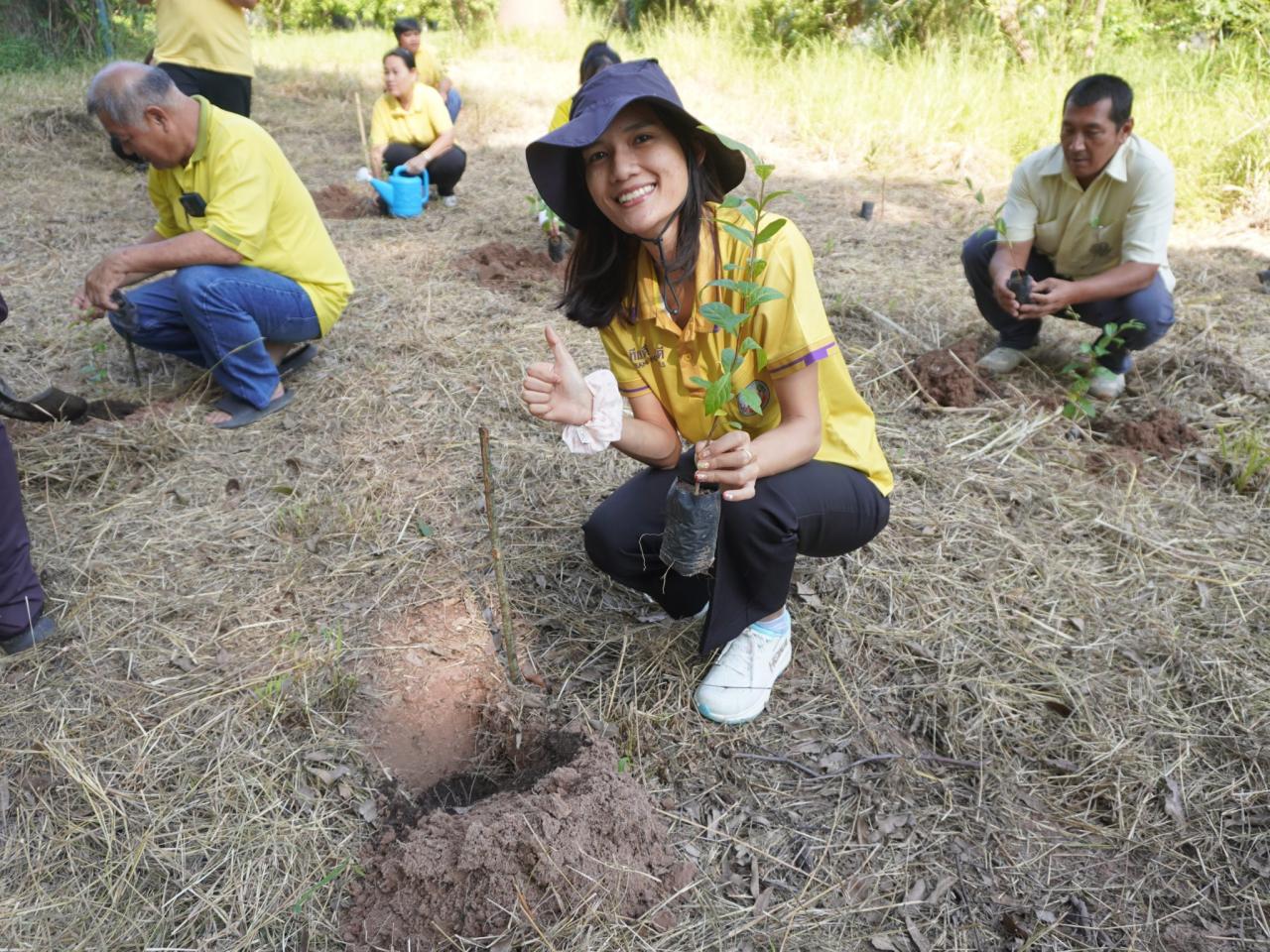 ภาพประกอบที่ 38
