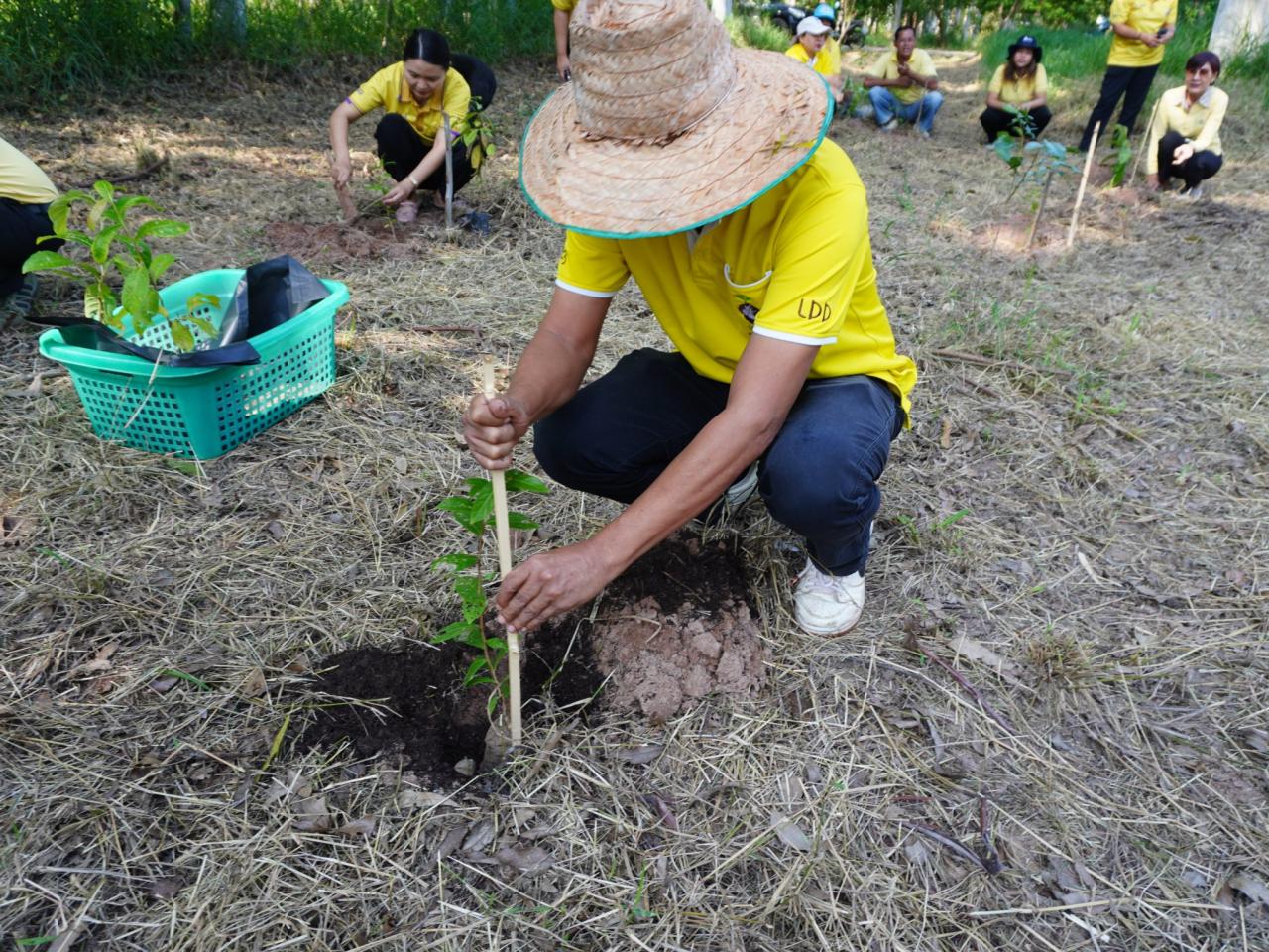 ภาพประกอบที่ 39