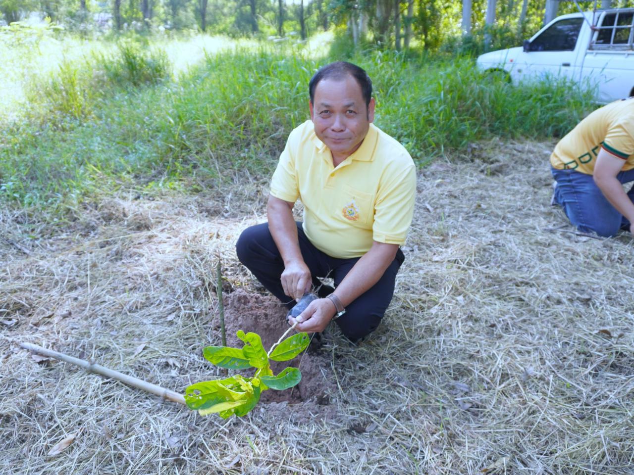 ภาพประกอบที่ 41