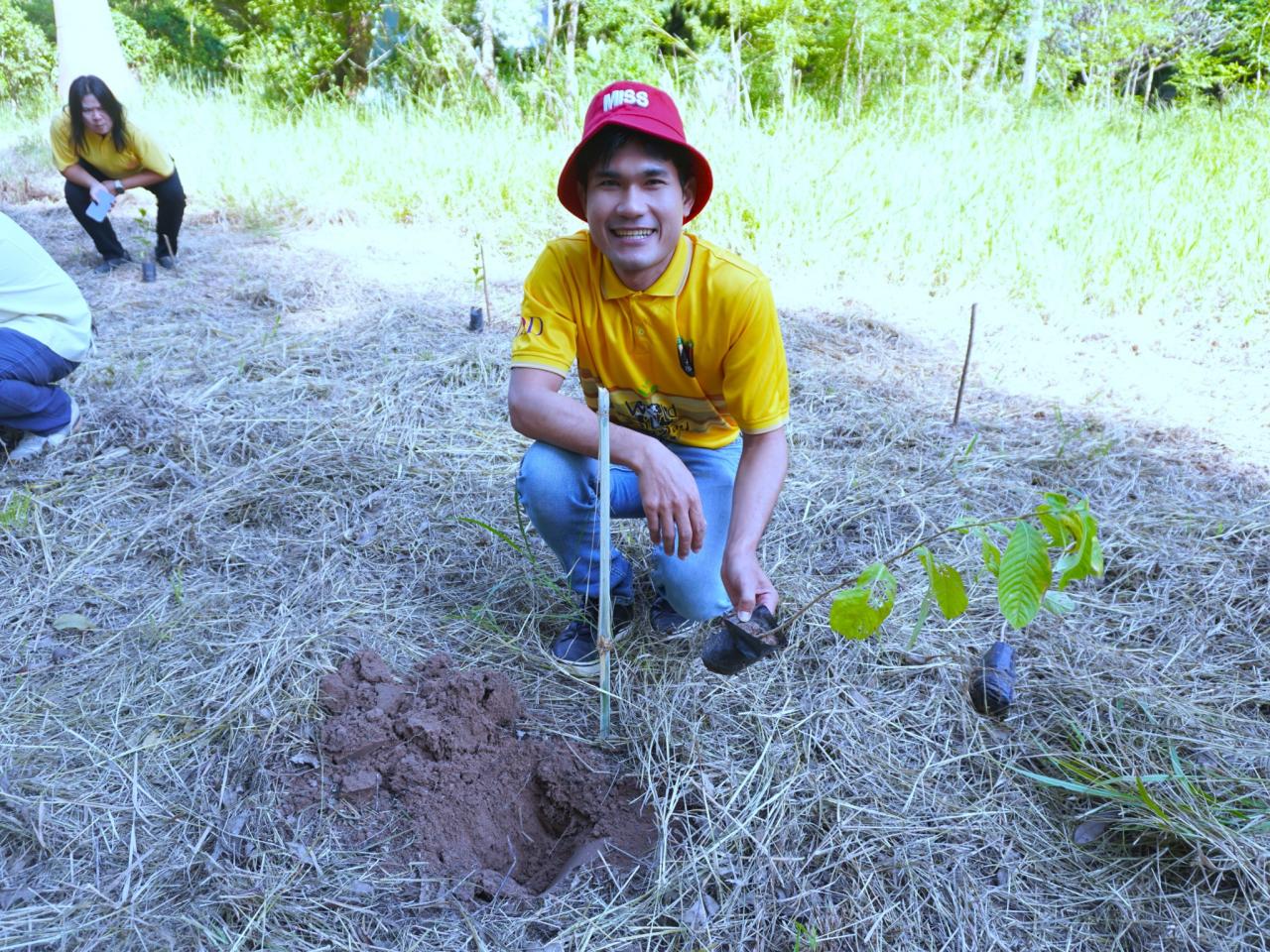 ภาพประกอบที่ 43