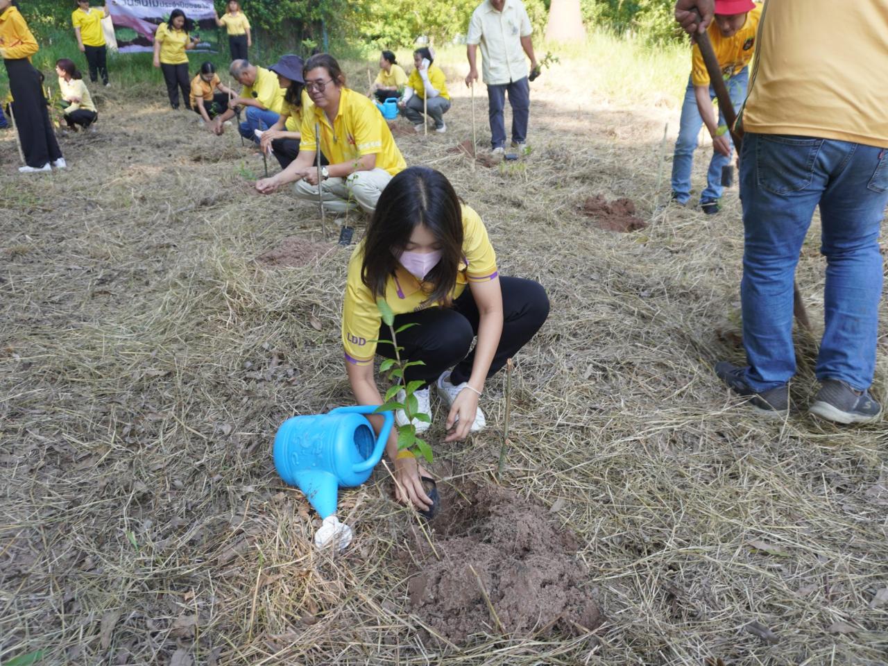 ภาพประกอบที่ 28