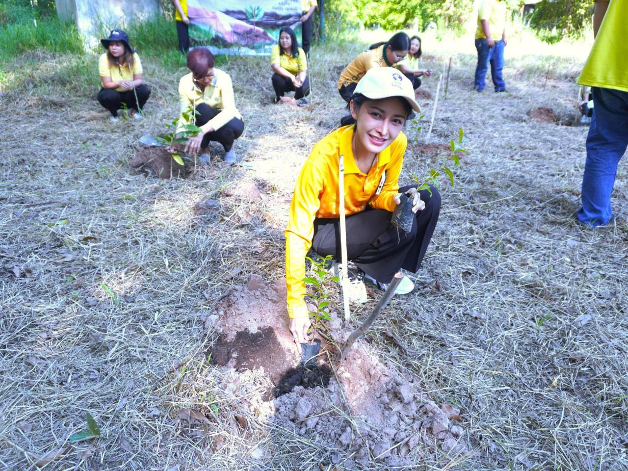 ภาพประกอบที่ 29