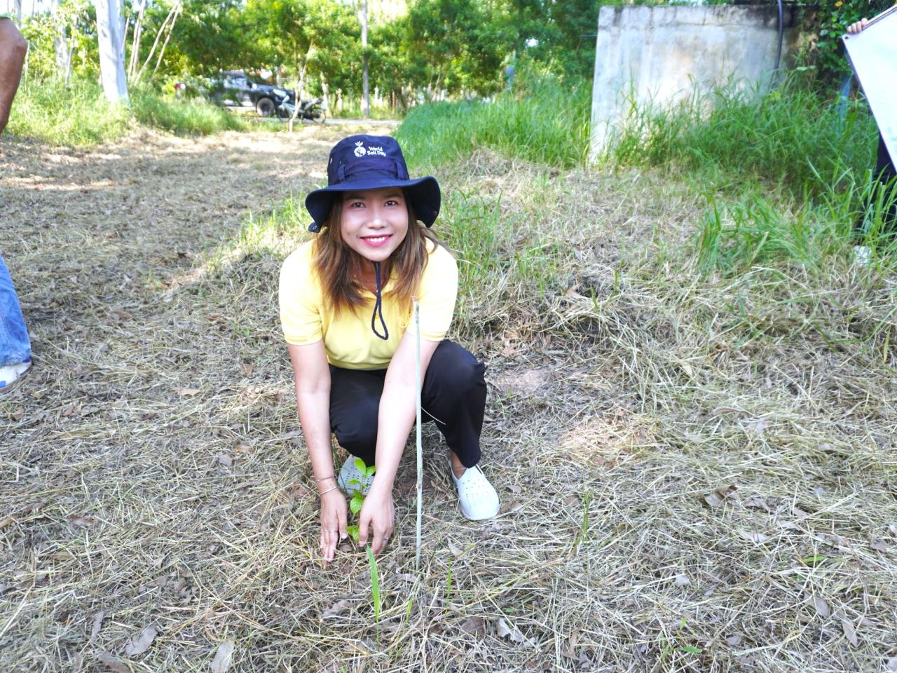ภาพประกอบที่ 30