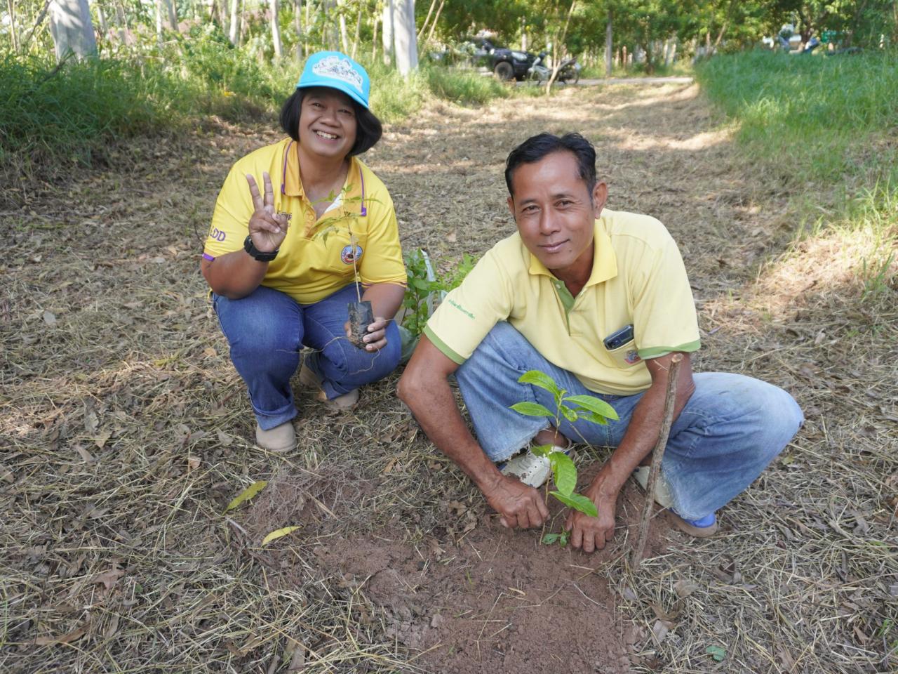ภาพประกอบที่ 31