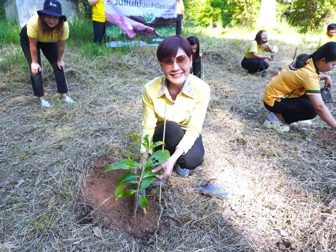 ภาพประกอบที่ 33