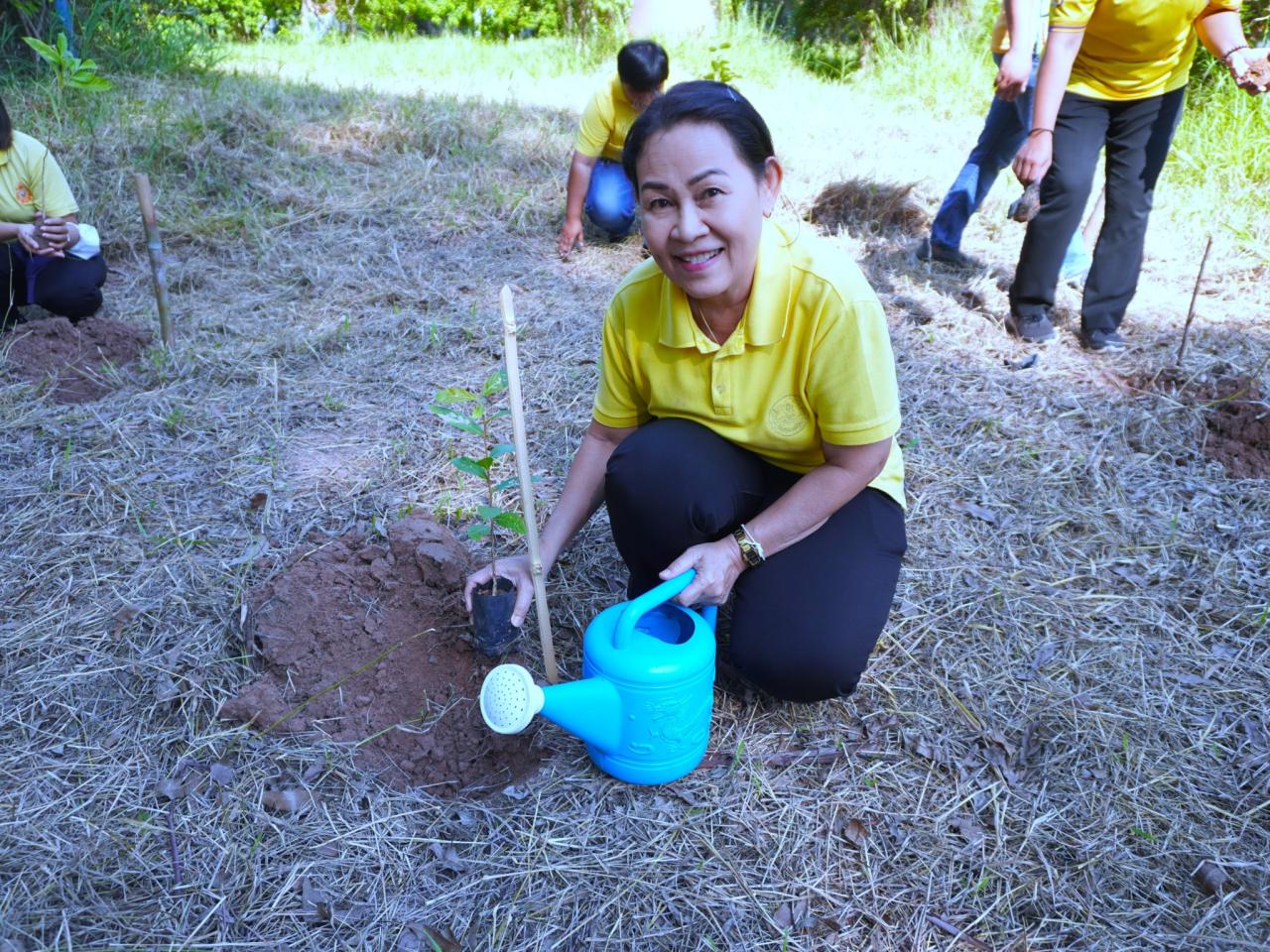 ภาพประกอบที่ 16