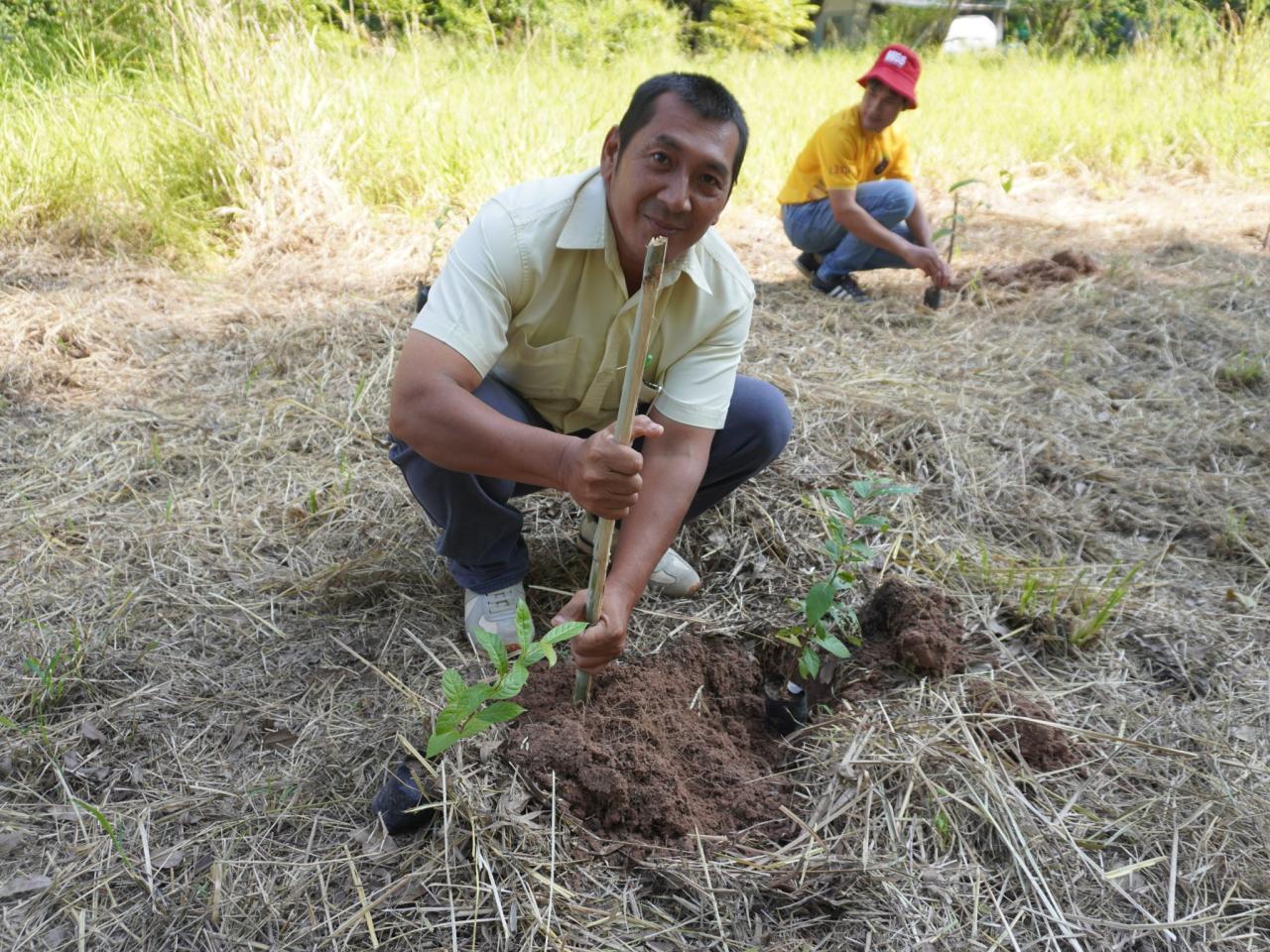 ภาพประกอบที่ 17