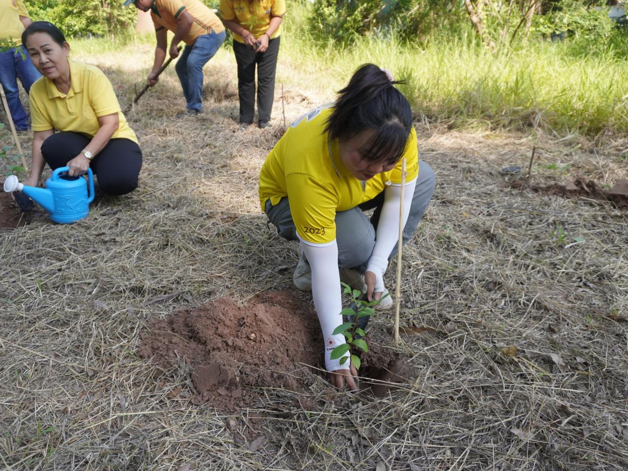 ภาพประกอบที่ 18