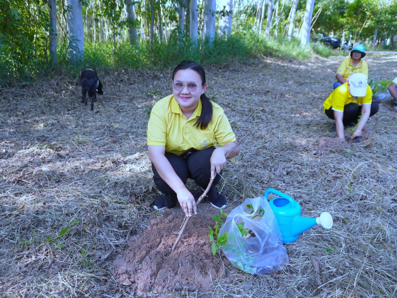 ภาพประกอบที่ 19