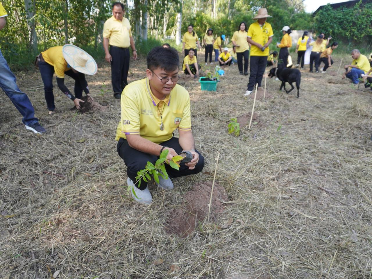 ภาพประกอบที่ 20