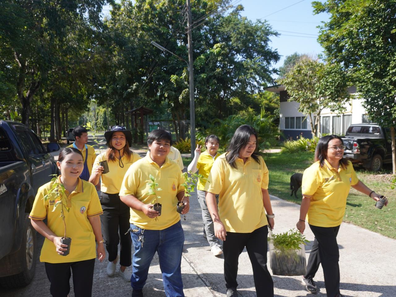 ภาพประกอบที่ 11