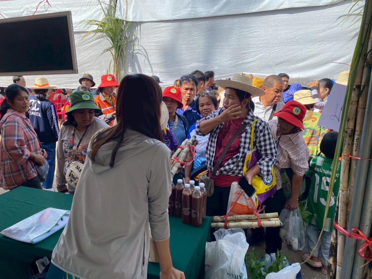 ภาพประกอบที่ 2