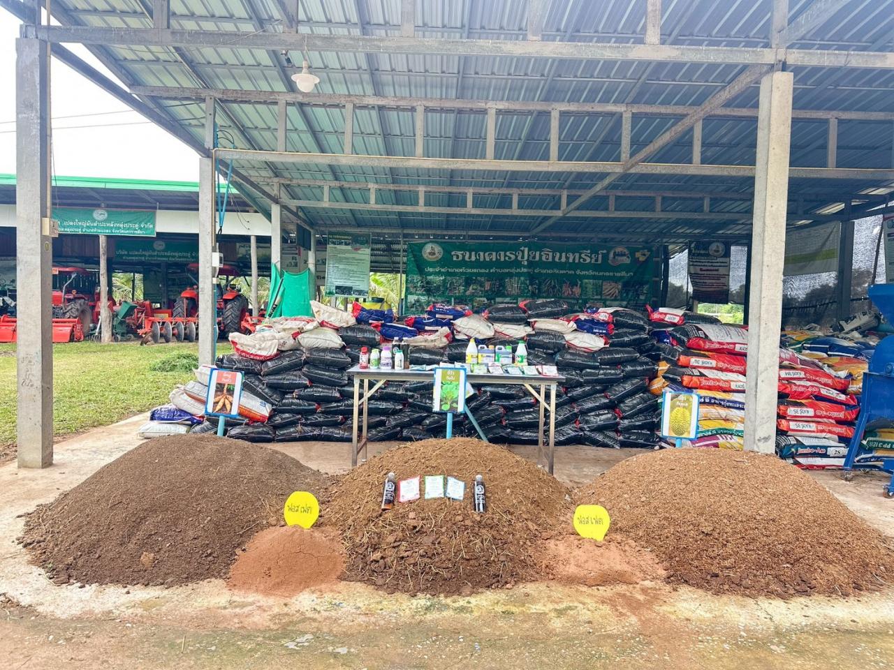 ภาพประกอบที่ 2