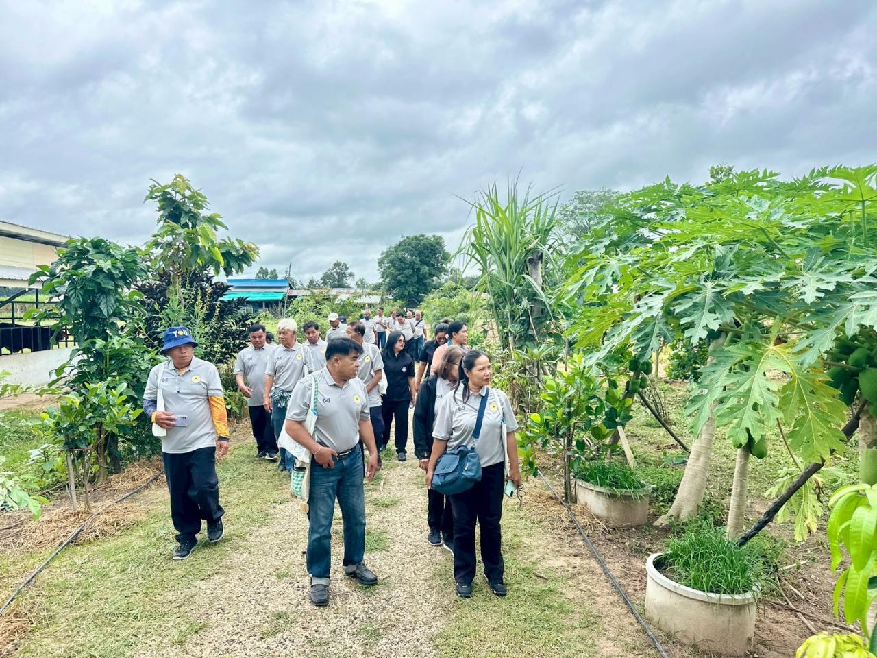 ภาพประกอบที่ 5