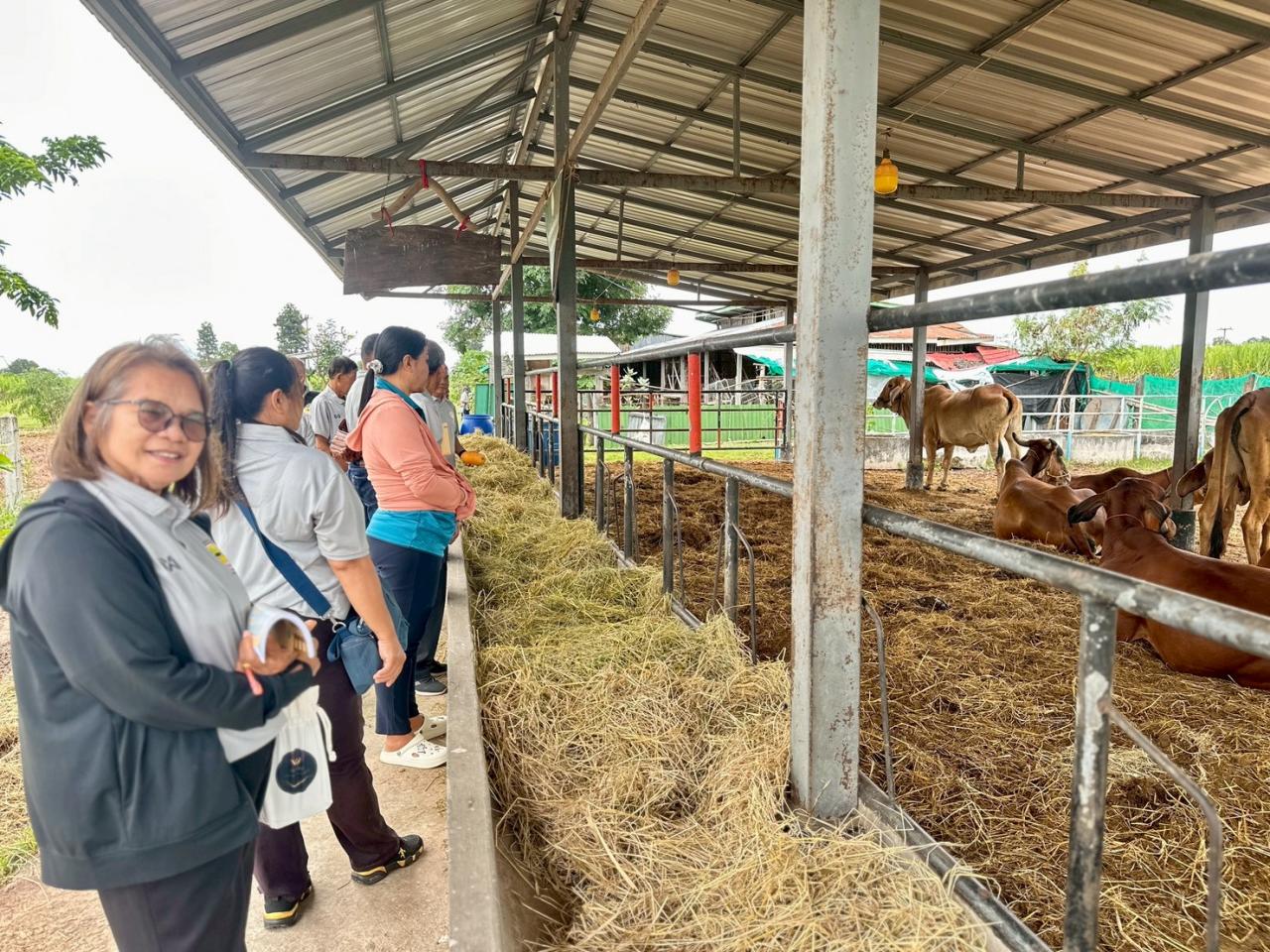 ภาพประกอบที่ 6