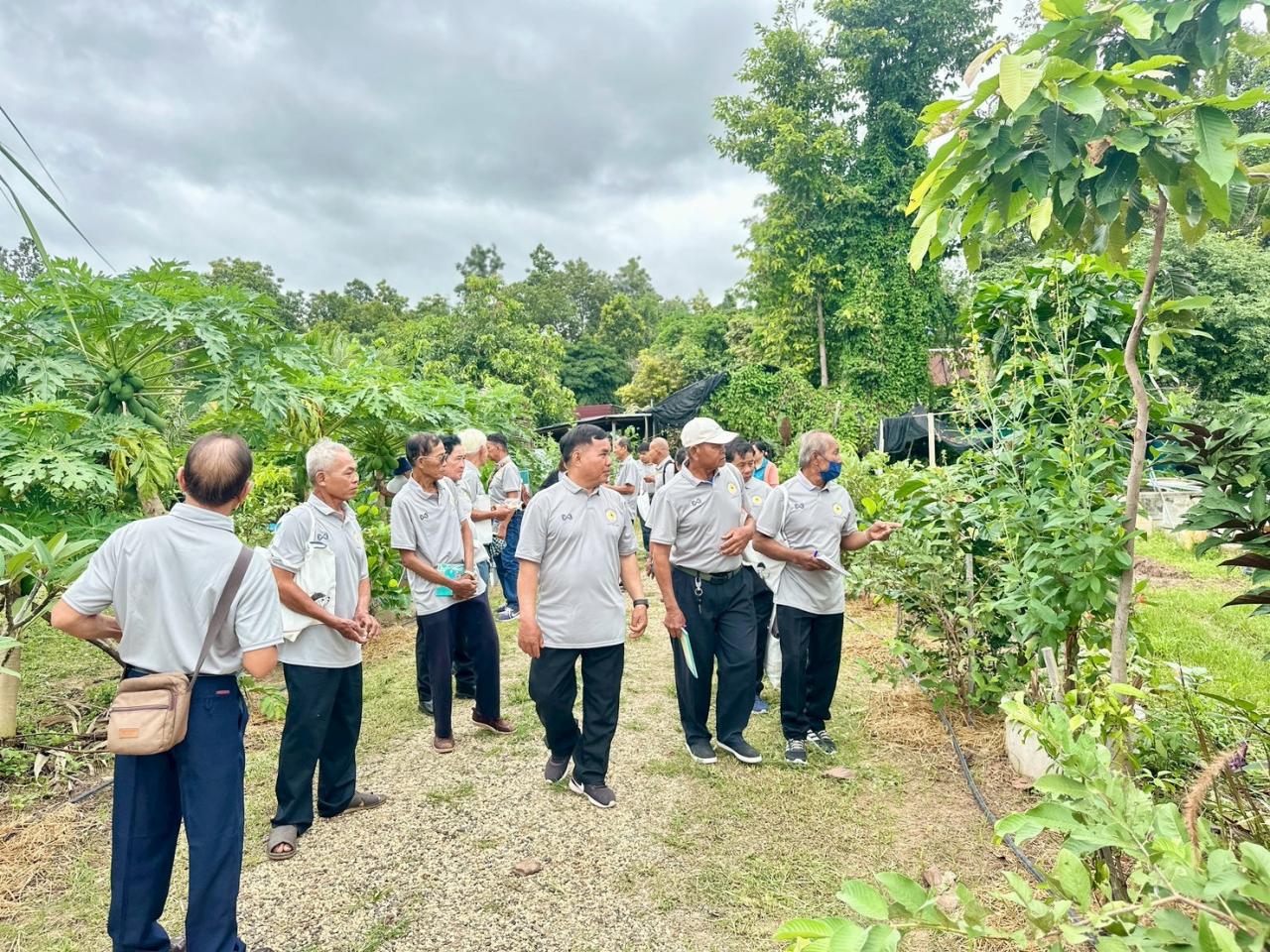 ภาพประกอบที่ 7