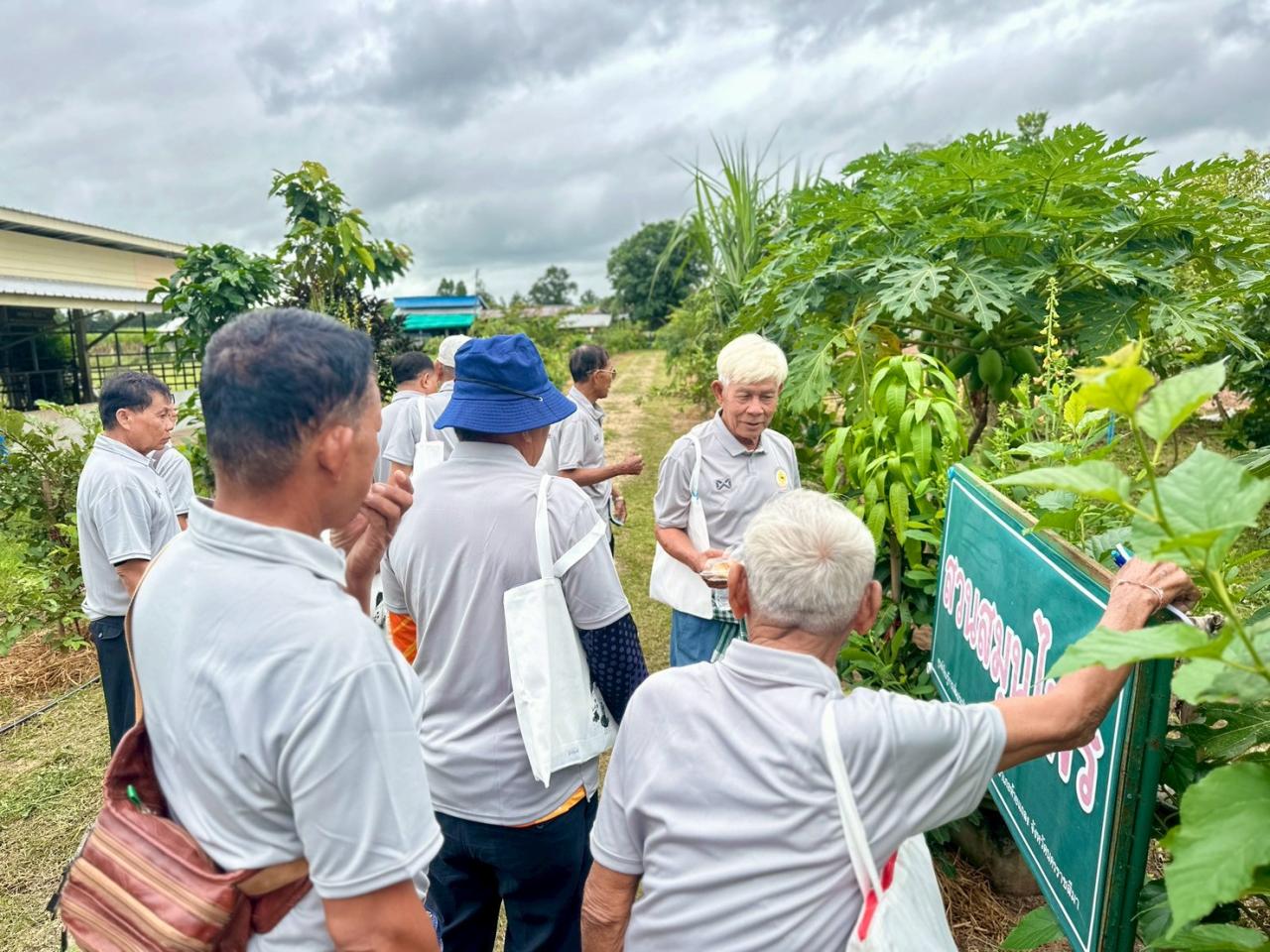 ภาพประกอบที่ 8