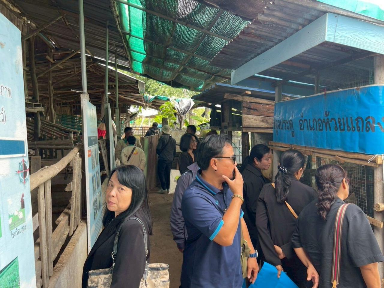 ภาพประกอบที่ 3