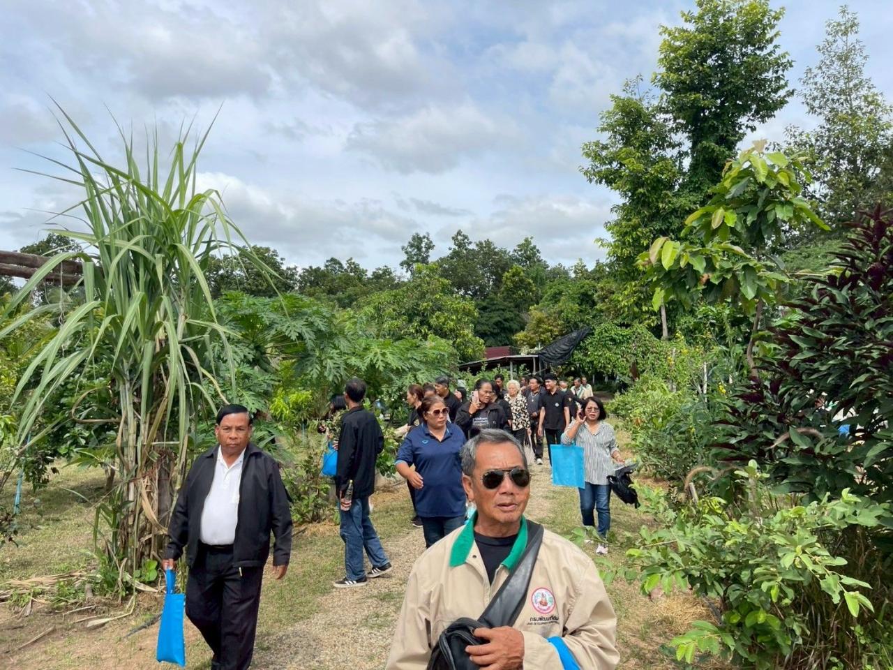 ภาพประกอบที่ 7