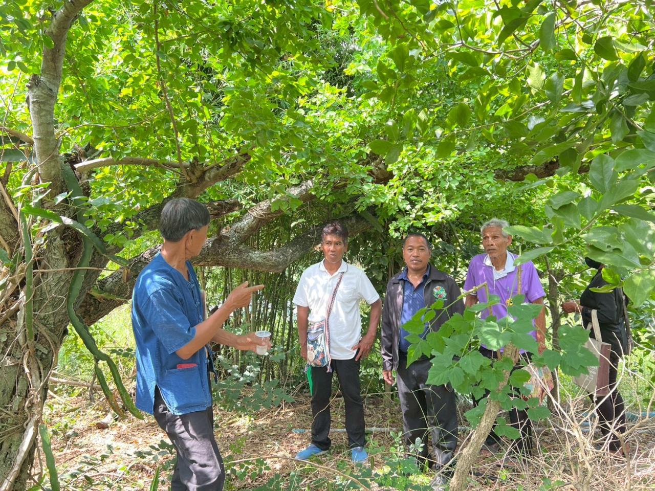 ภาพประกอบที่ 2